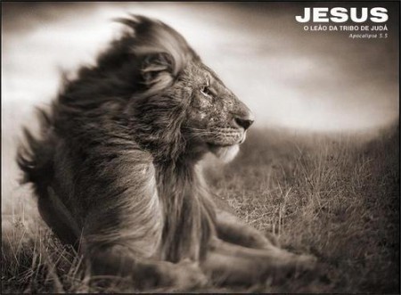 PROTEGIDOS POR DEUS!